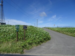 4日目　白い道への標識